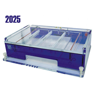galileo 2025 horizontal gel box