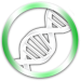 Fluoro dsDNA