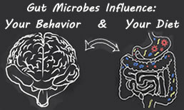 Gut microbes influence diet and behavior