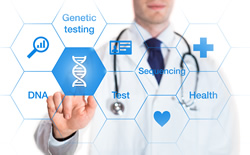 Organoid drug testing