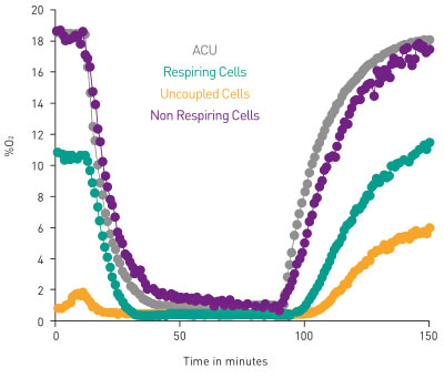 Ischemia-reperfusion proof-of-concept