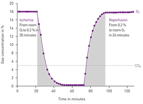 Ischemia-reperfusion atmospheric conditions