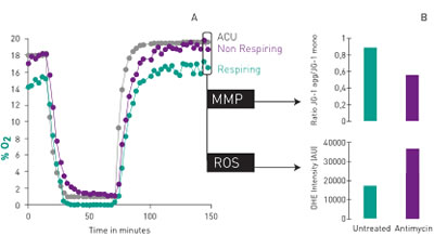 Ischemia-reperfusion proof-of-concept