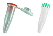 Green Eppendorf® and Rino® Lysis Kits